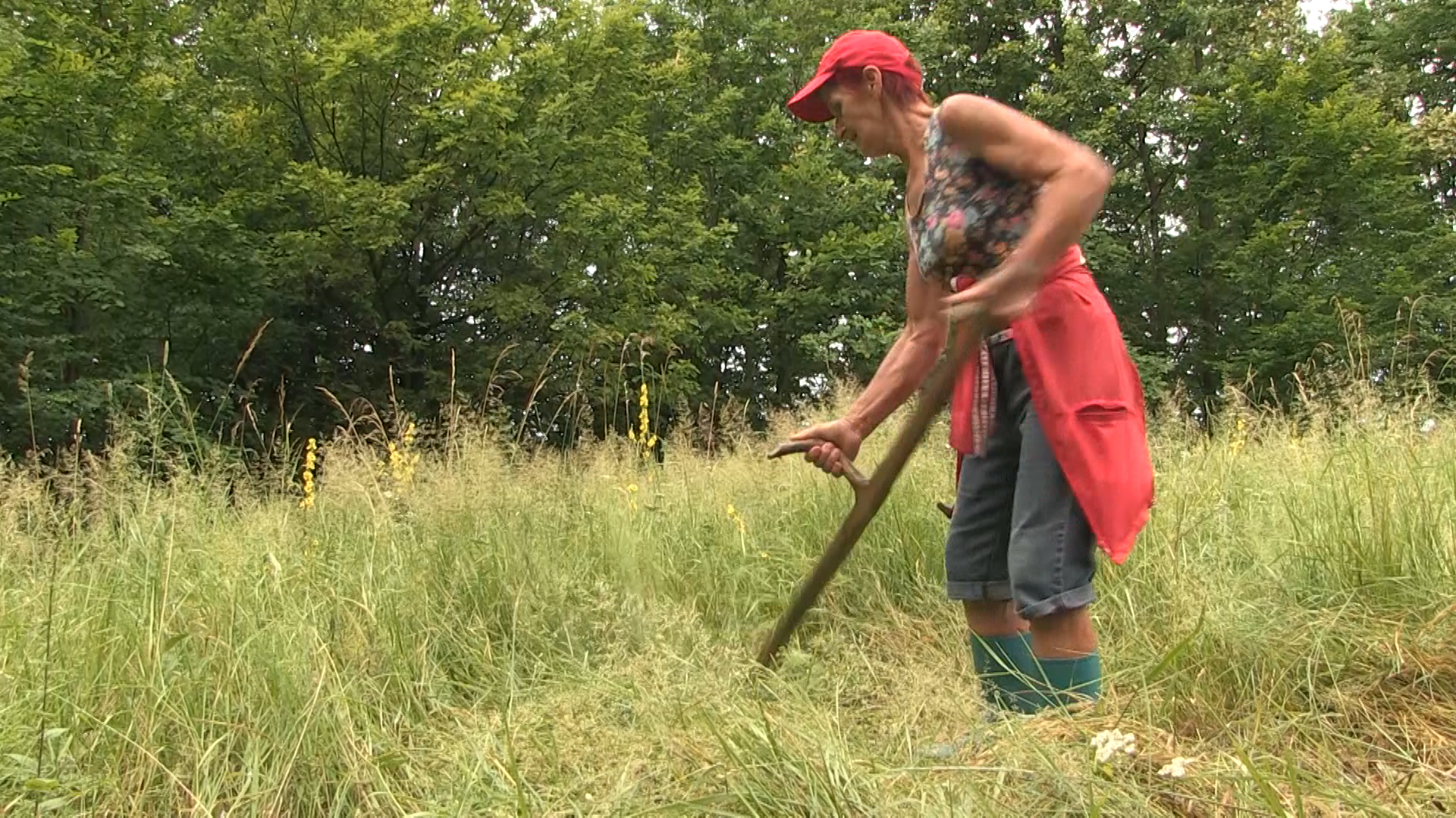 sa-zene kosacice-nat(20190703-171727232).00_00_00_18.Still001