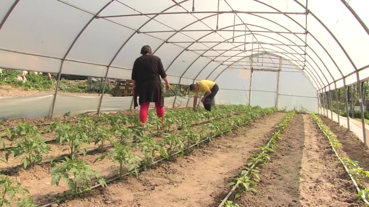 SA-ZENE POLJOPRIVREDNICE PKG-NAT-1