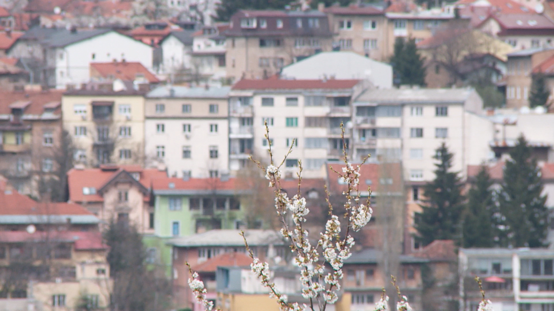 sarajevo