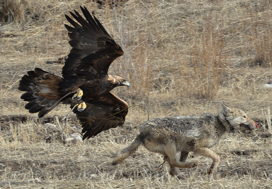 AFP/Vyacheslav Oseledko