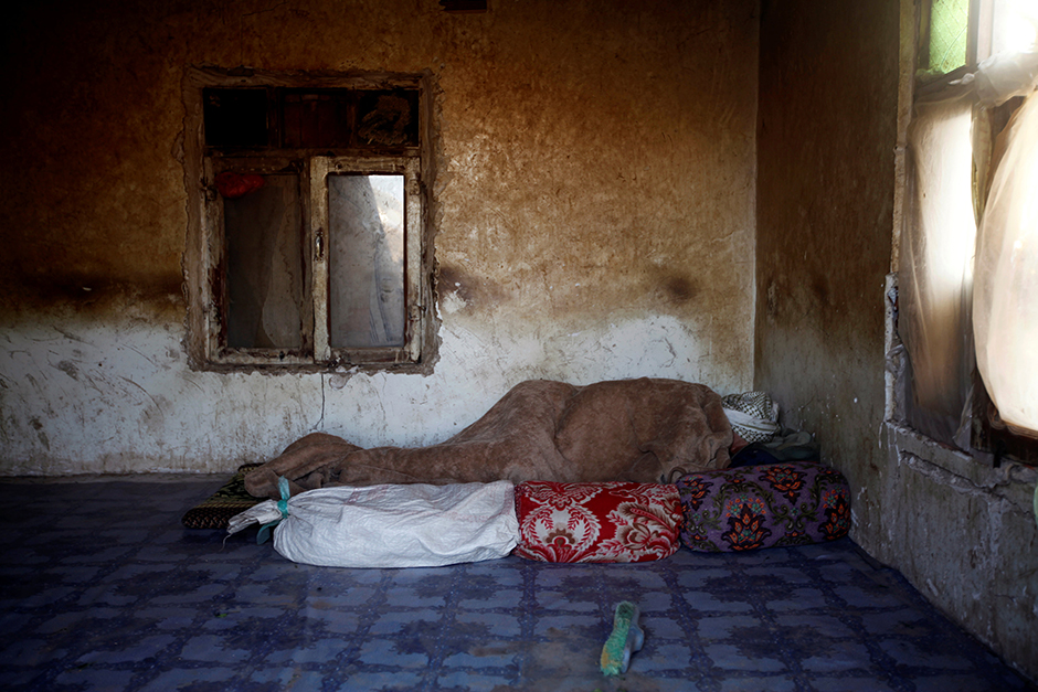 Reuters/Mohamed al-Sayaghi