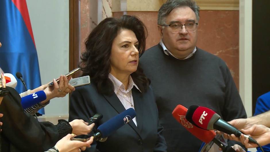 sanda-raskovic-ivic-n1-240982.jpeg