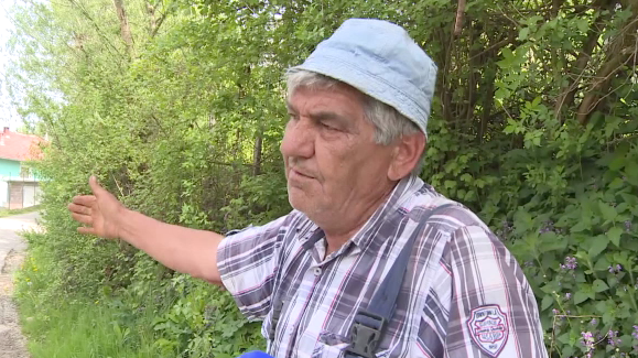 savić
