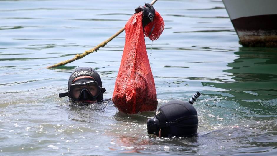 Savudrija, čiščenje