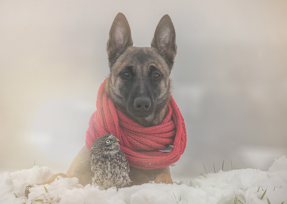 Tanja Brandt