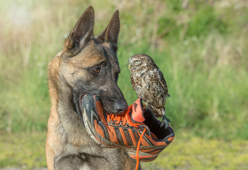Tanja Brandt