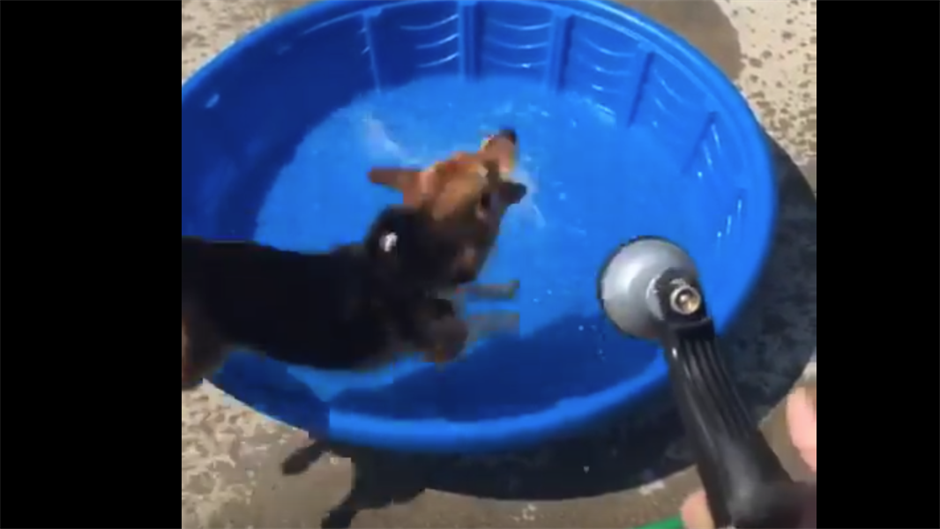 Screen Shot 2015-08-23 at 16.58.27