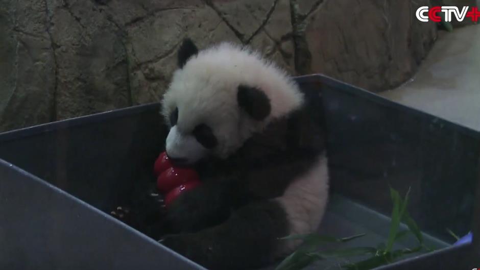 ScreenShot2016-01-17at14.26.55