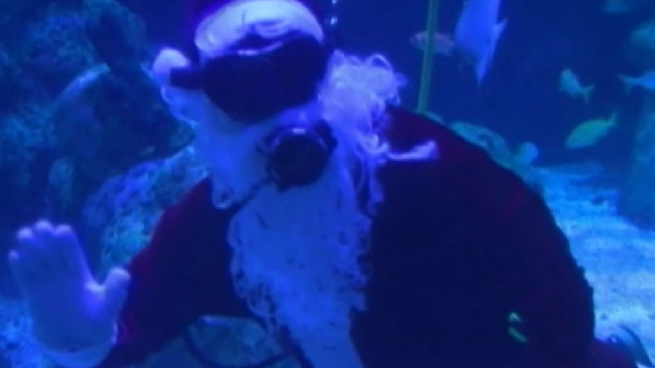 scuba santa