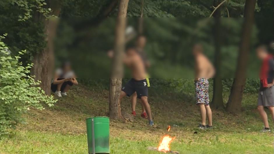 sečenje drva na Košutnjaku