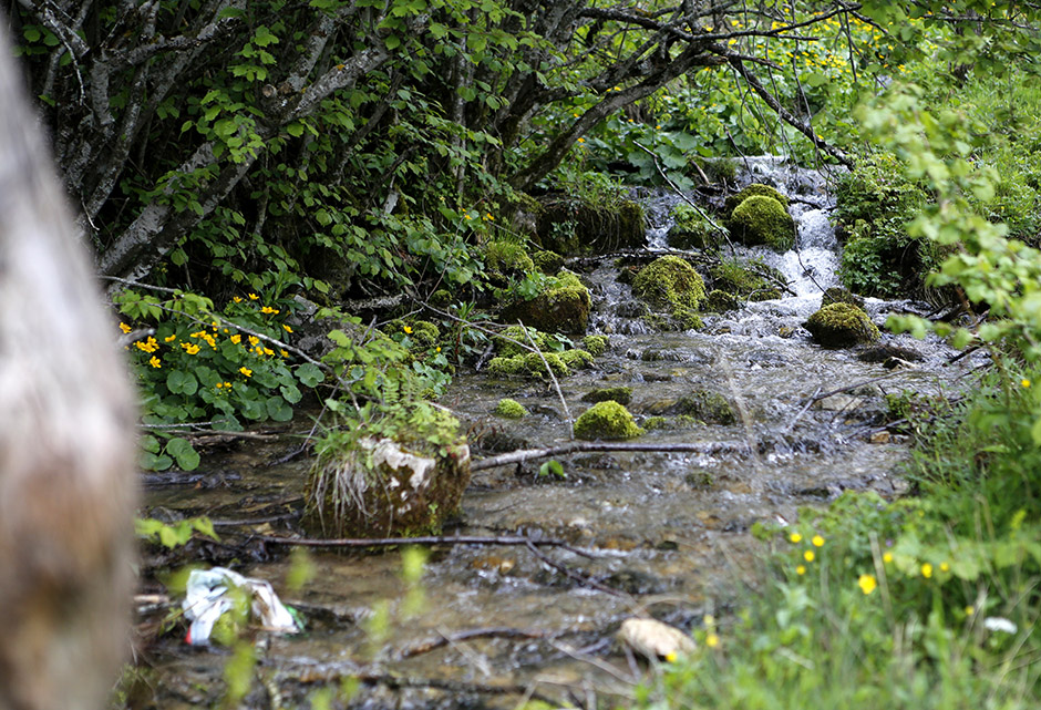 ANADOLIJA/Emre Baştuğ