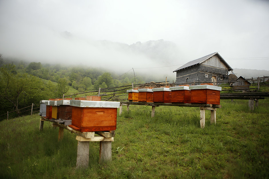 ANADOLIJA/Emre Baştuğ