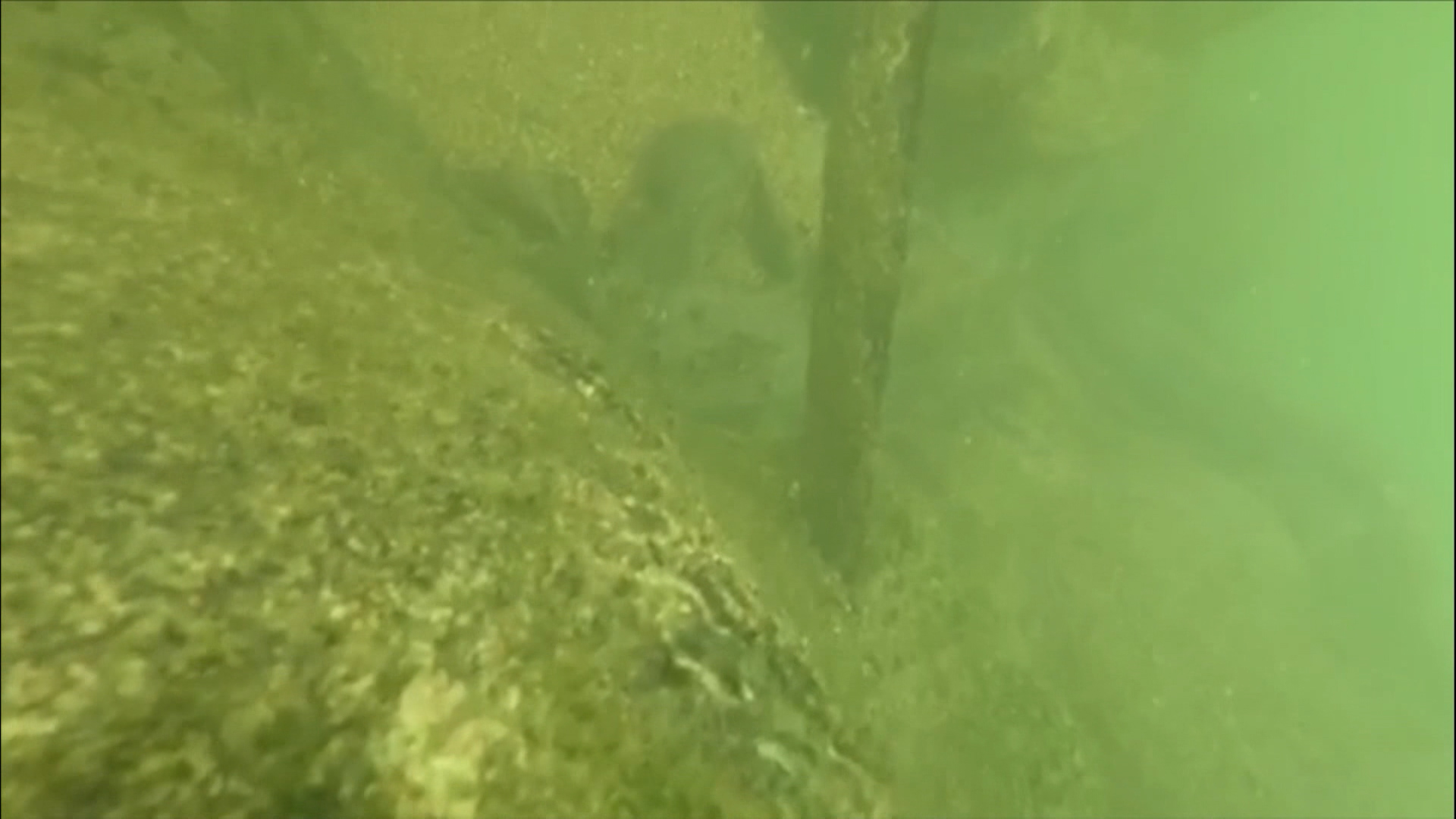 Sequence 01.00_00_08_21.Still005