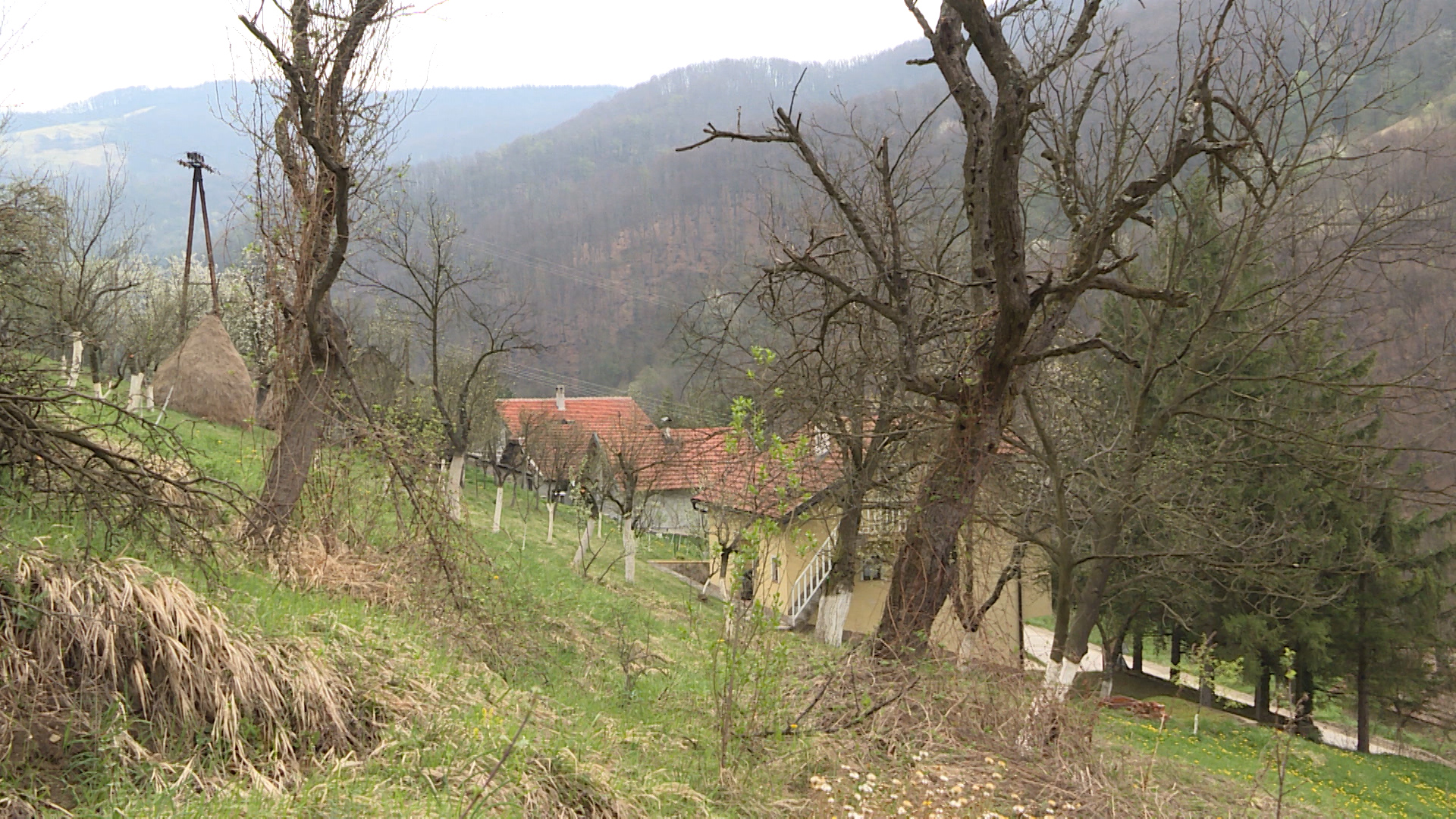 Sequence 01.00_00_34_21.Still002