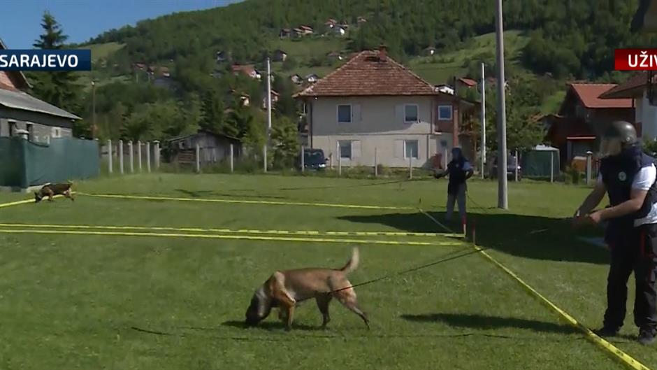 Sequence 01.Still001