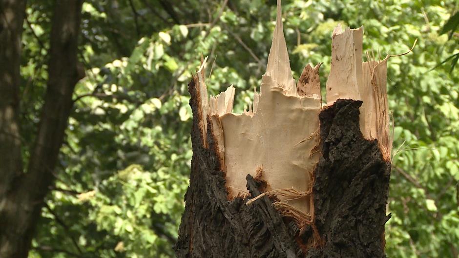 Sequence 01.Still001