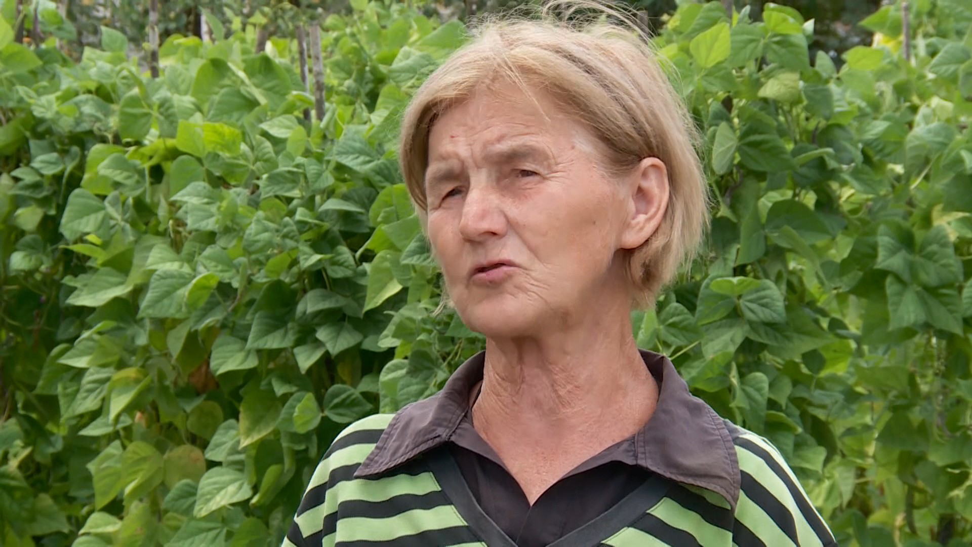 Sequence 01.Still002