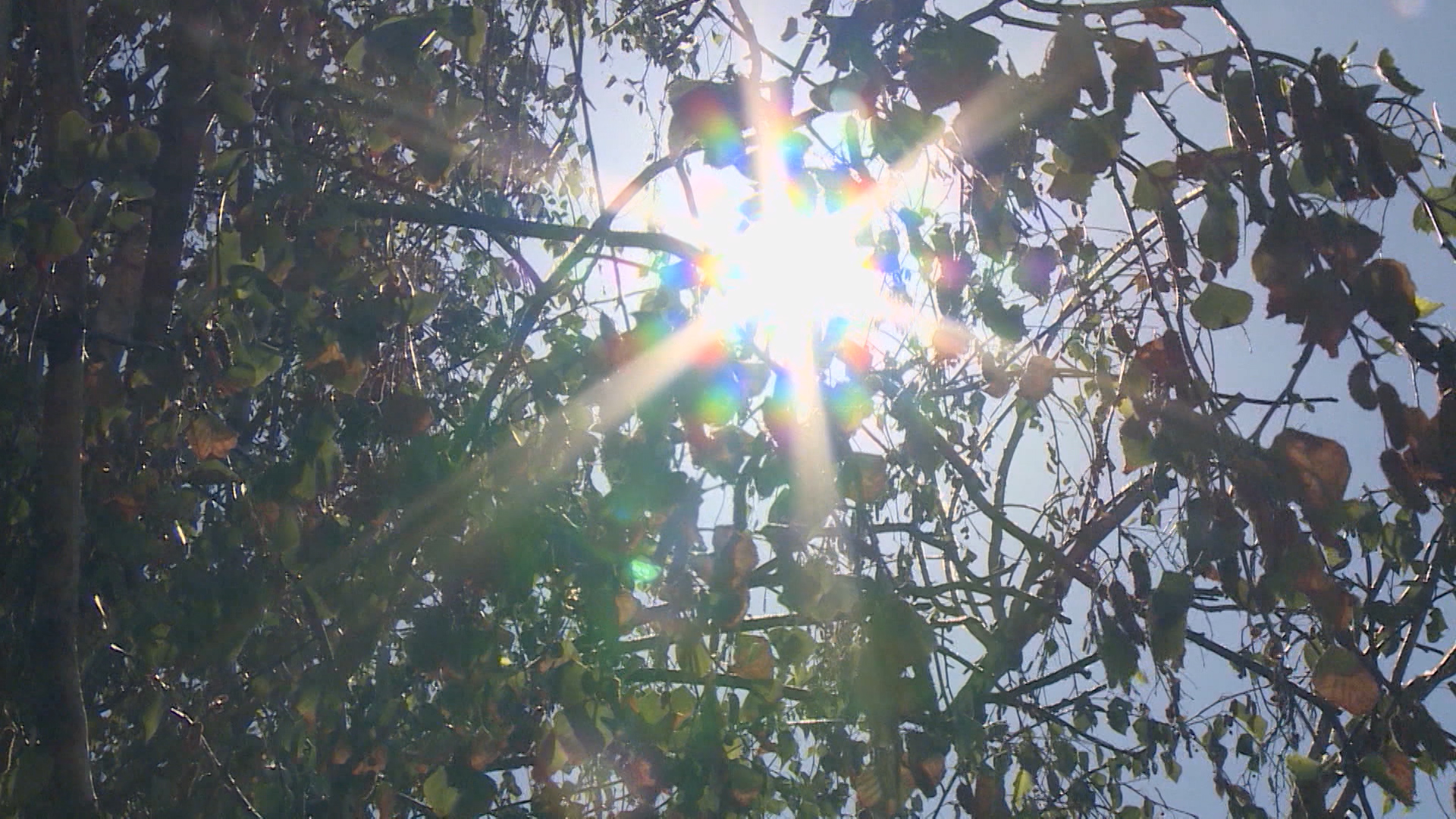 Sequence 01.Still002