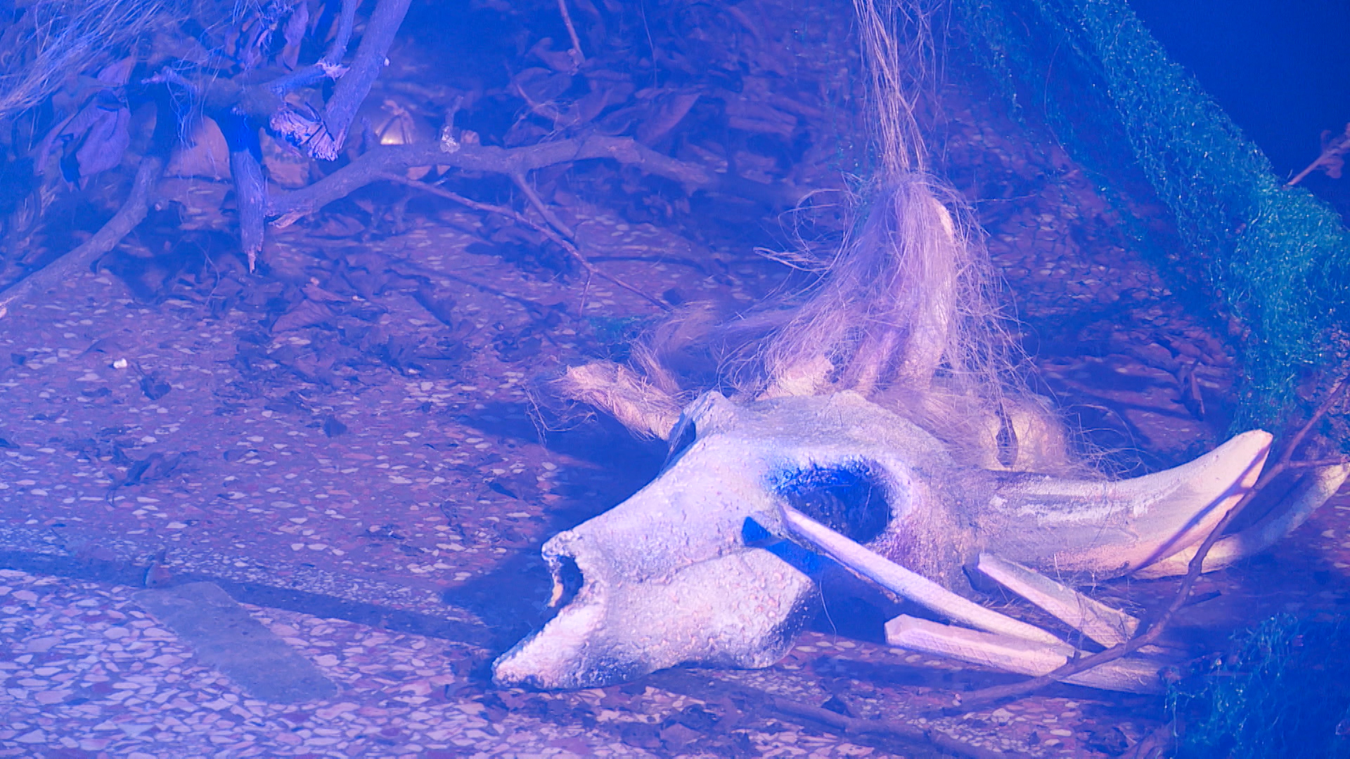 Sequence 01.Still003