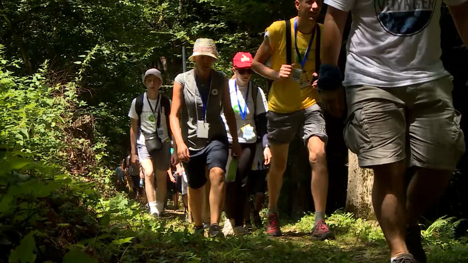 Sequence 01.Still004