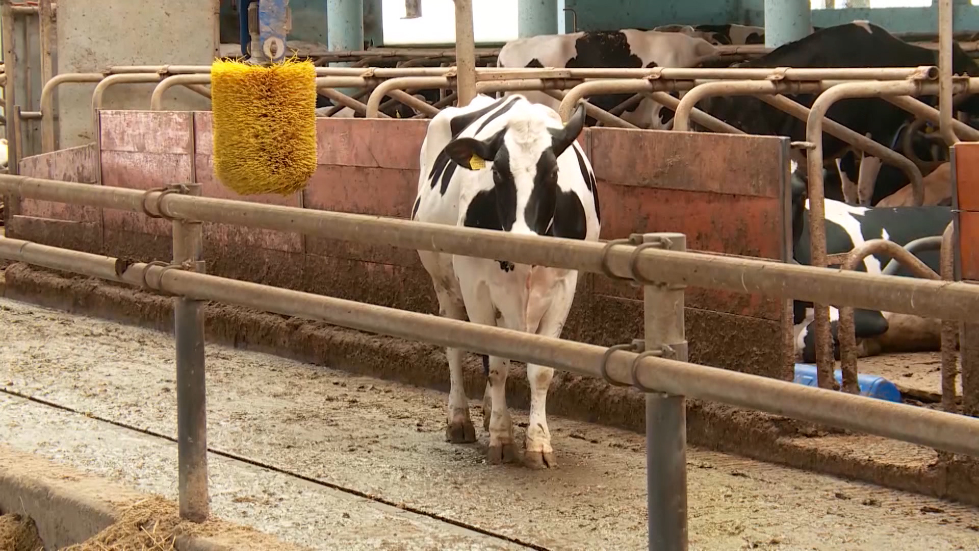 Sequence 01.Still004