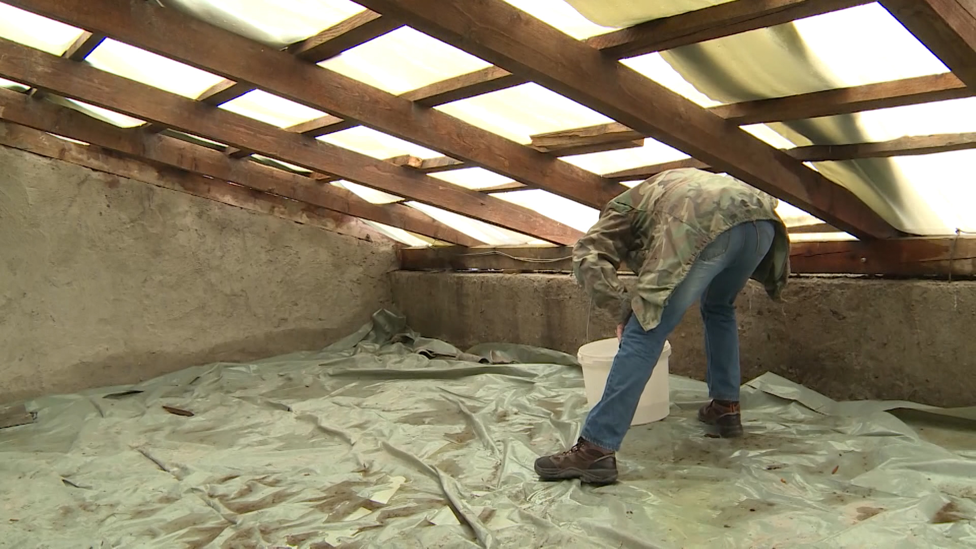 Sequence 01.Still004