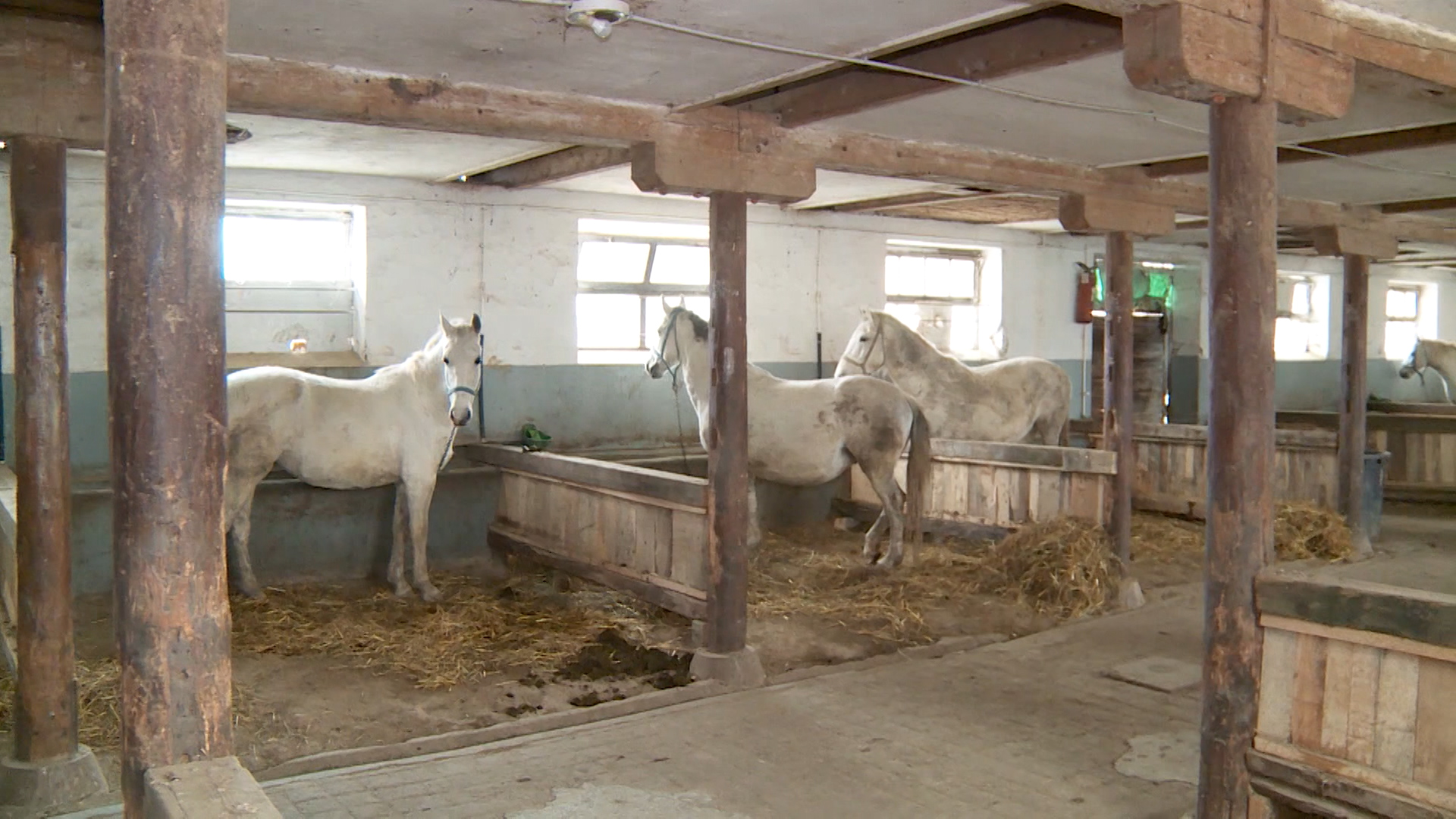 Sequence 01.Still004