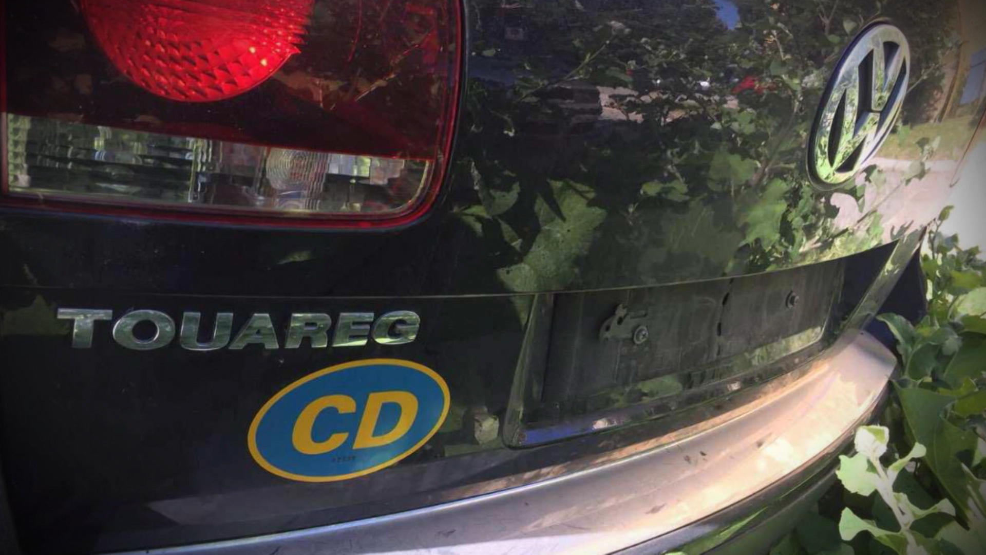 Sequence 01.Still005