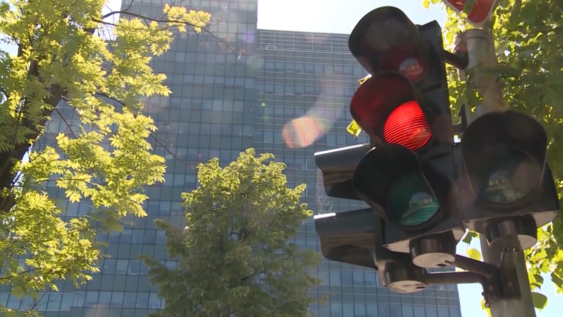 Sequence 01.Still005