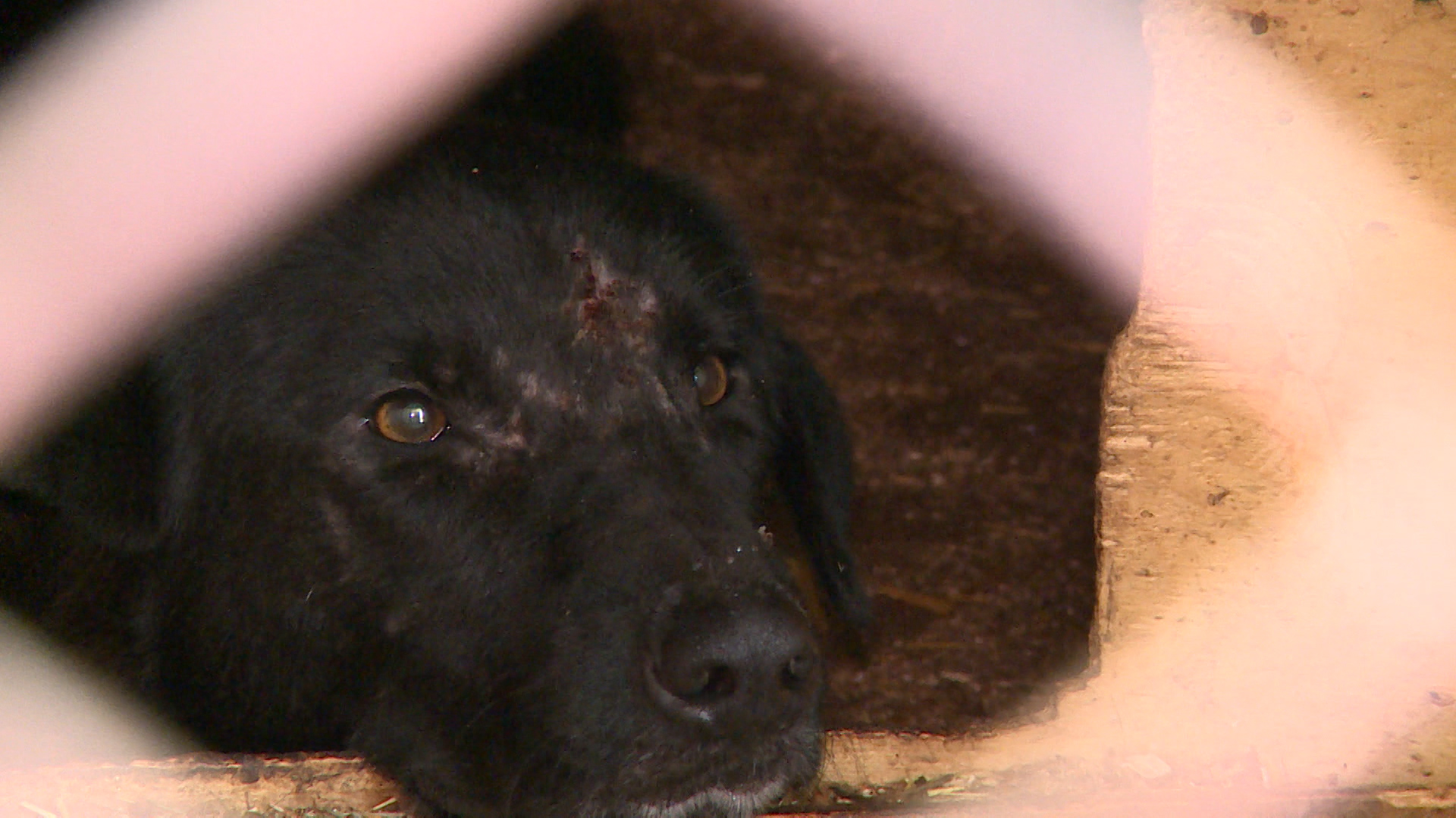 Sequence 01.Still005