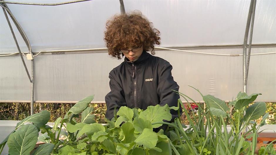 Sequence 01.Still005