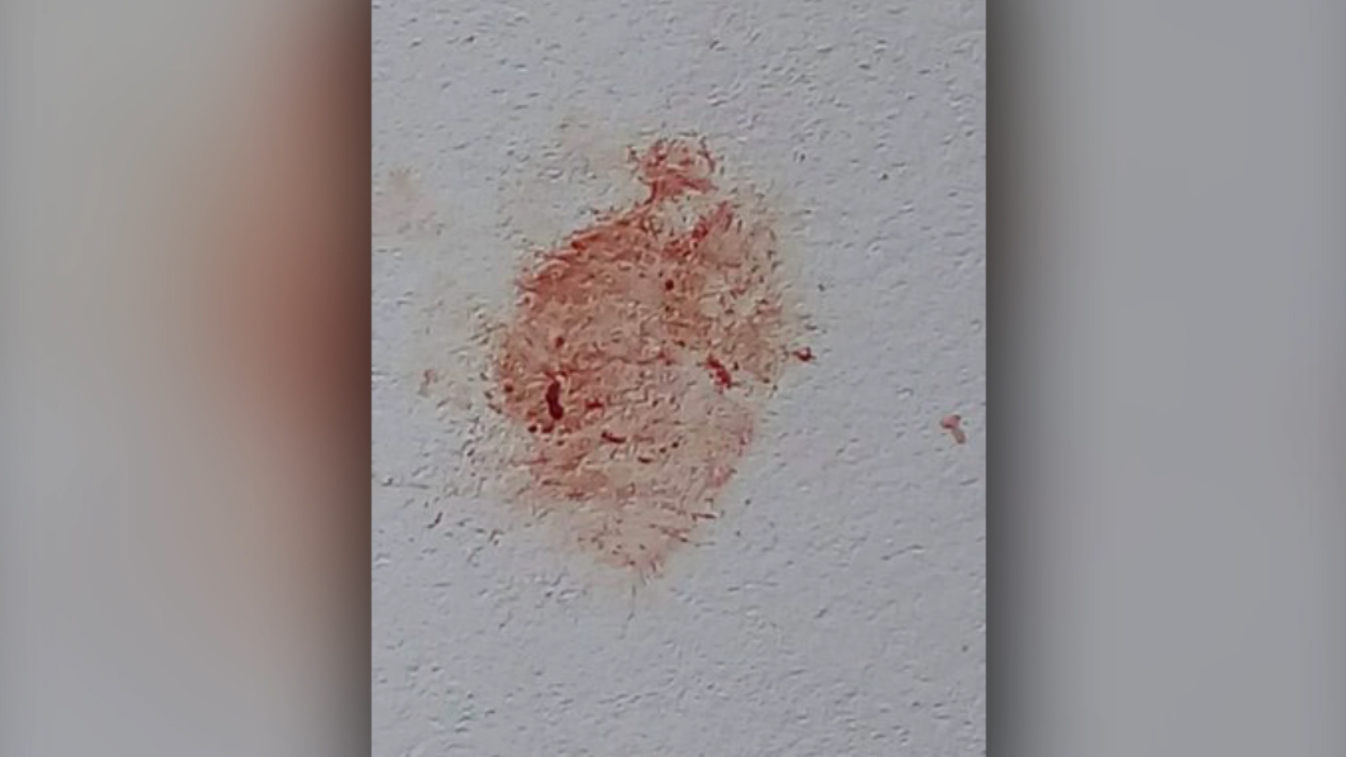 Sequence 01.Still006