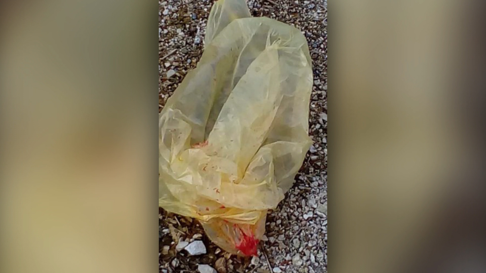 Sequence 01.Still007