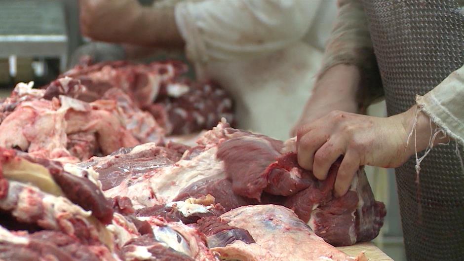 Sequence 01.Still008