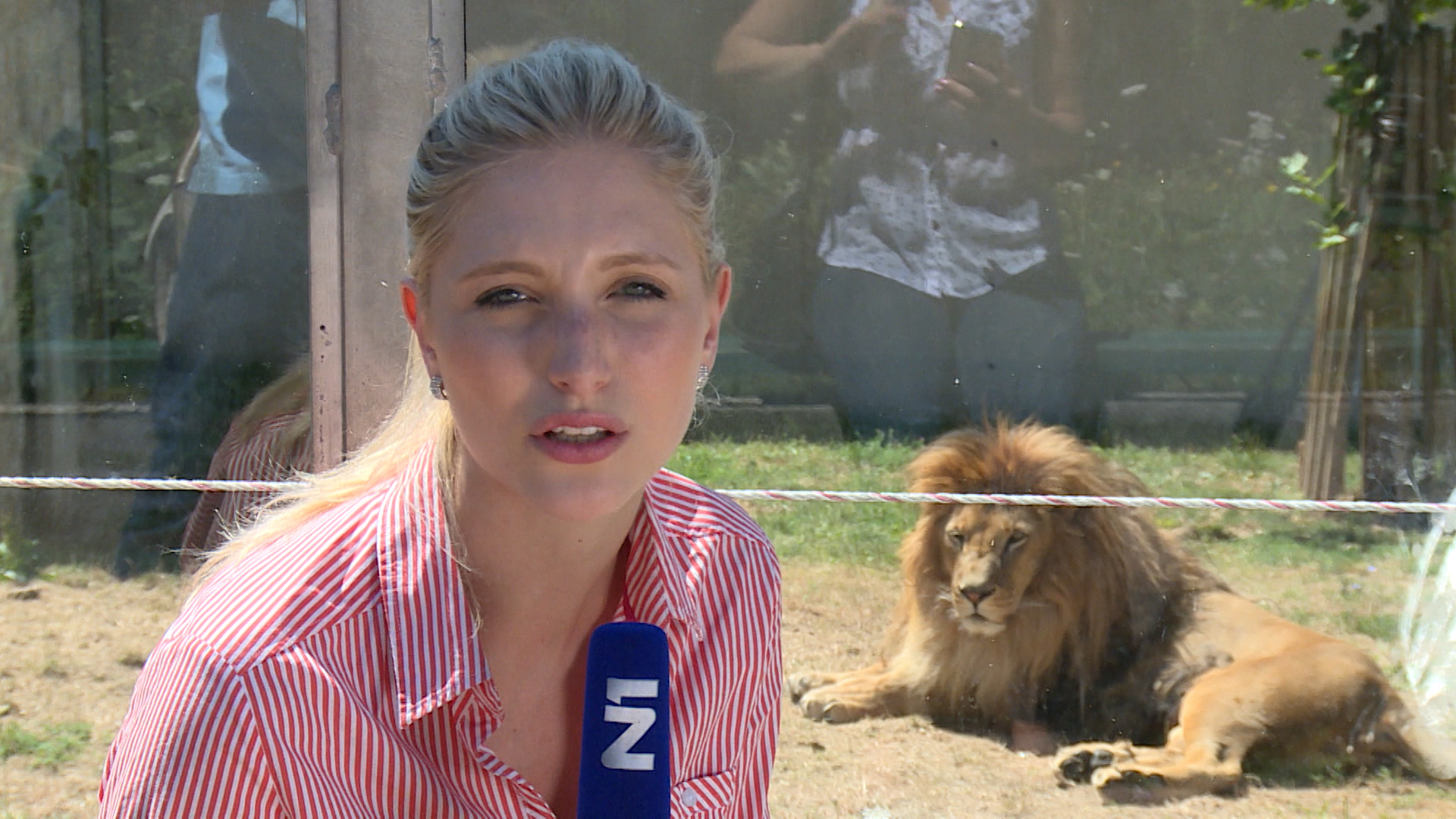 Sequence 01.Still008