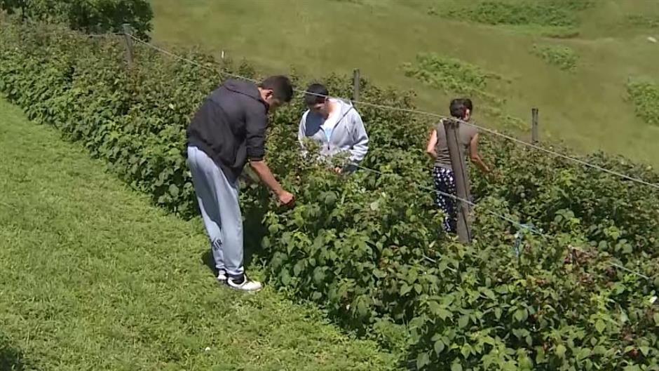 Sequence 01.Still009