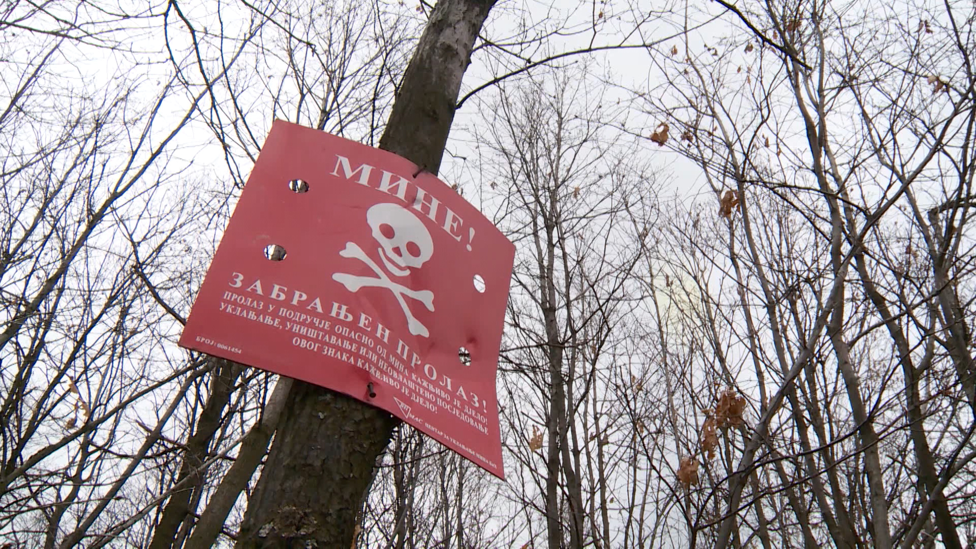 Sequence 01.Still010