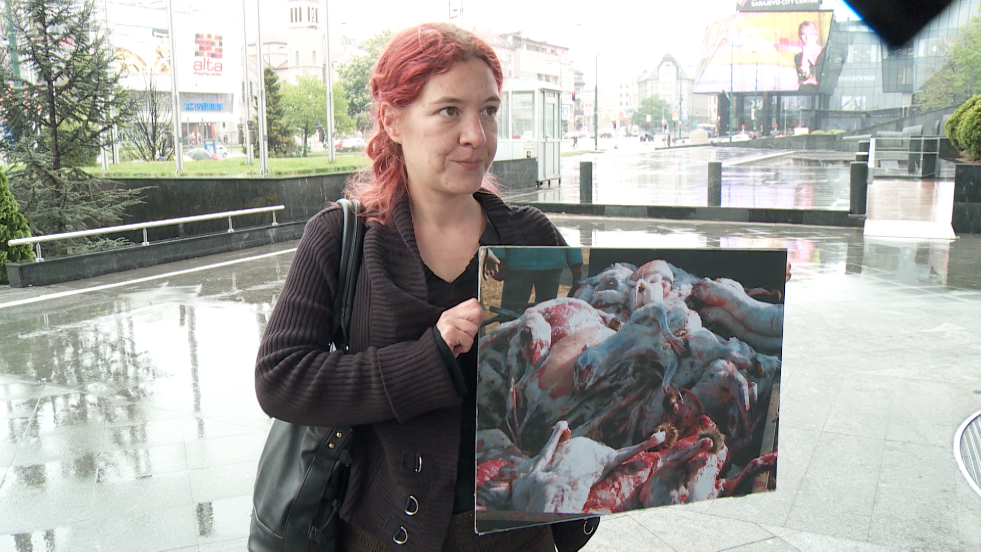 Sequence 01.Still011