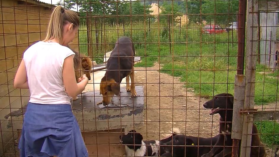 Sequence 01.Still011