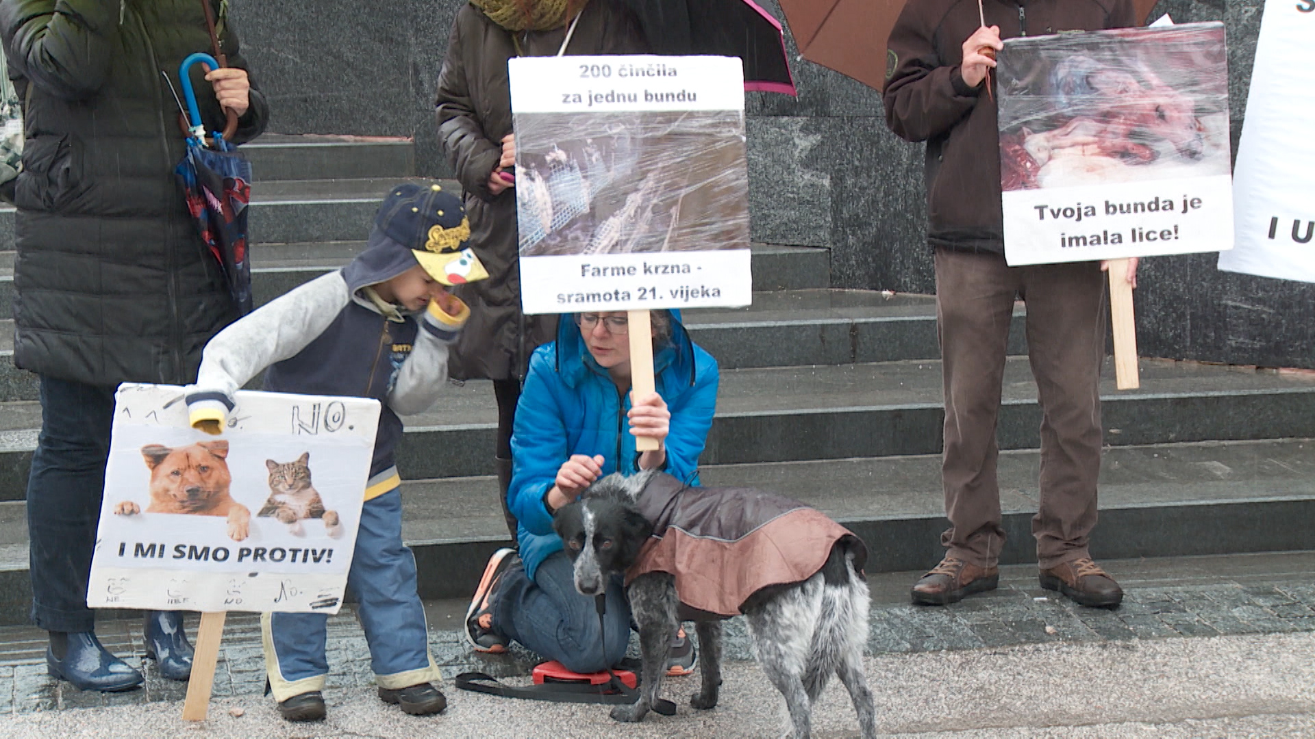 Sequence 01.Still012