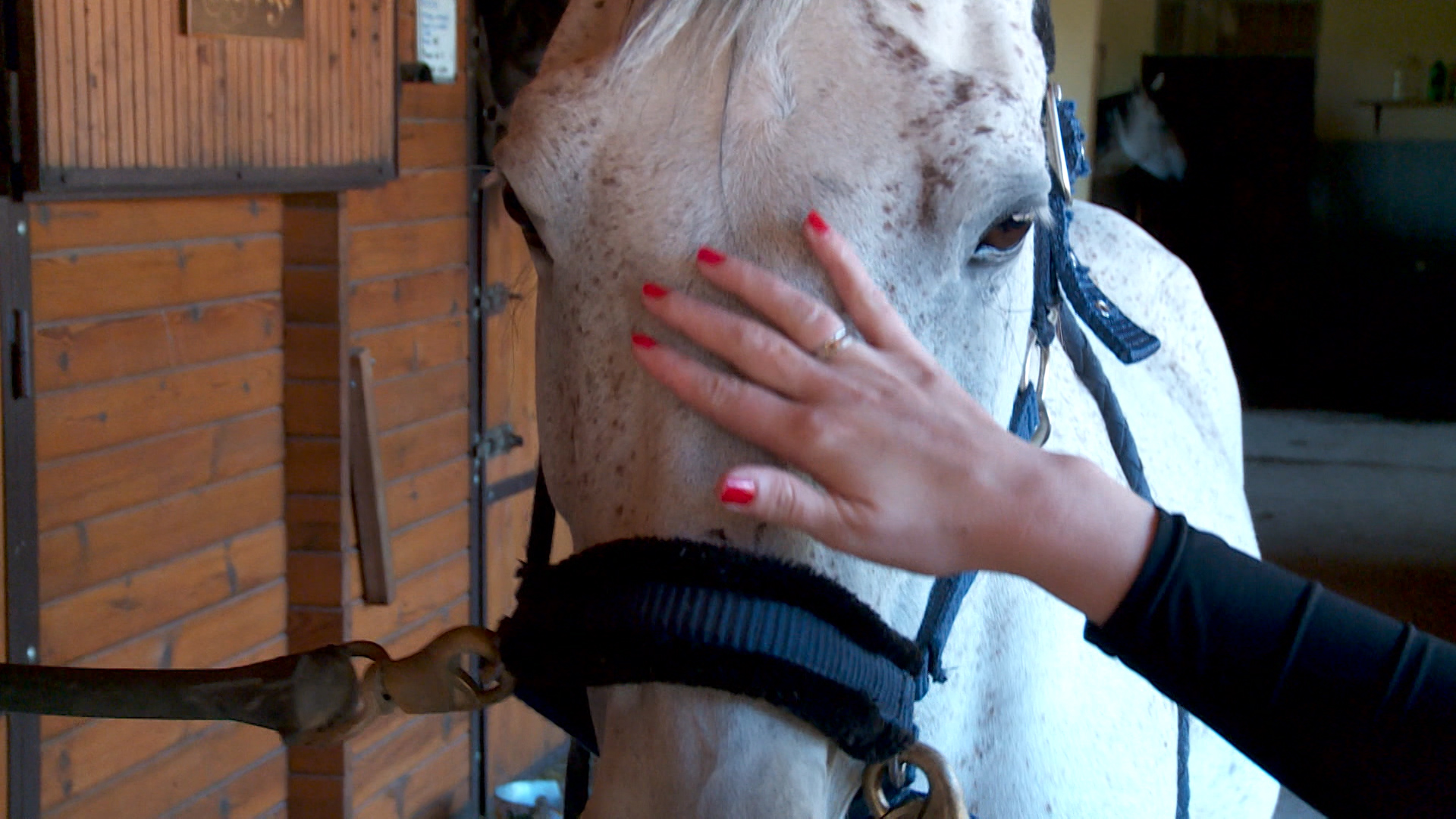 Sequence 01.Still012