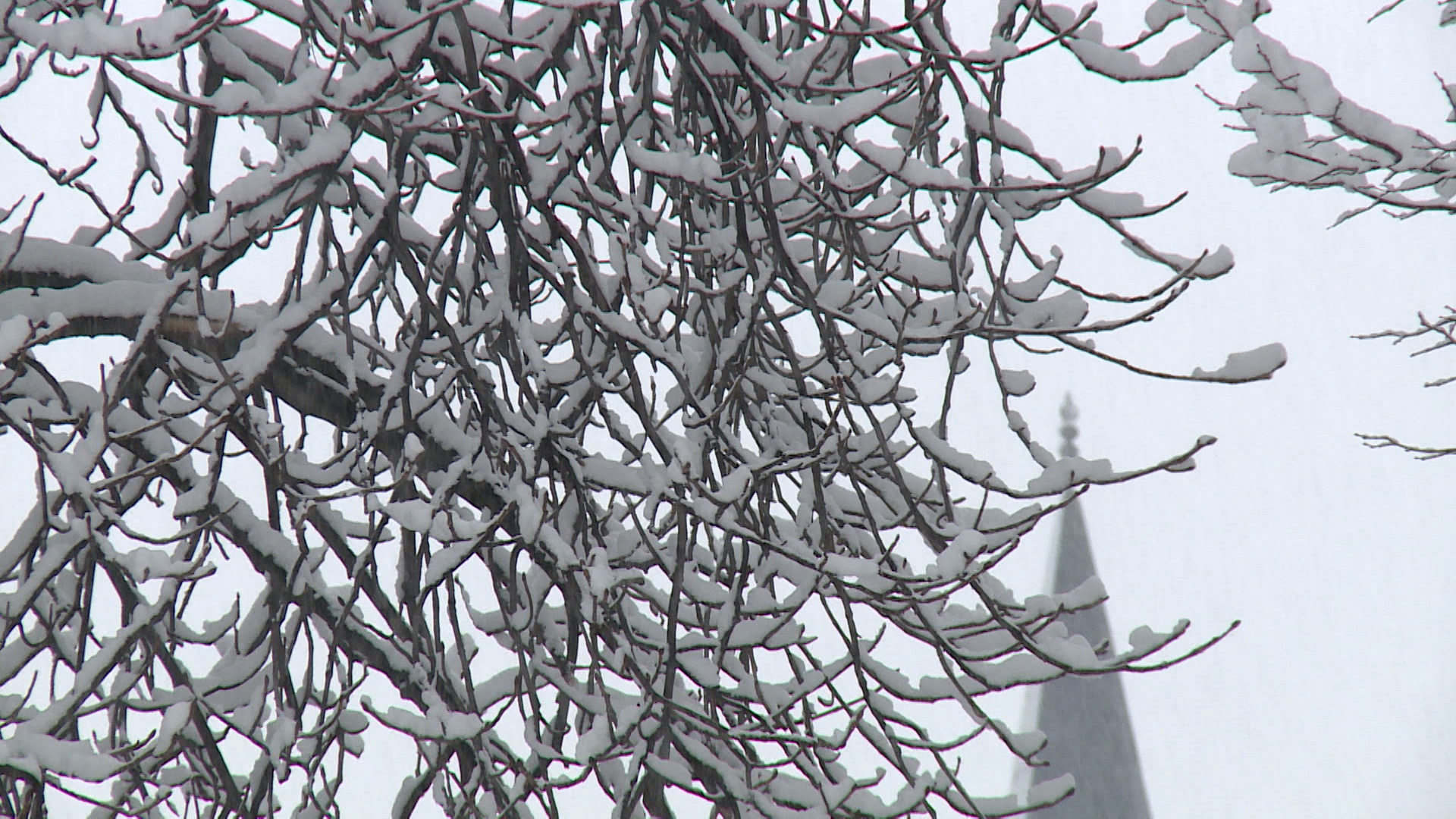 Sequence 01.Still012