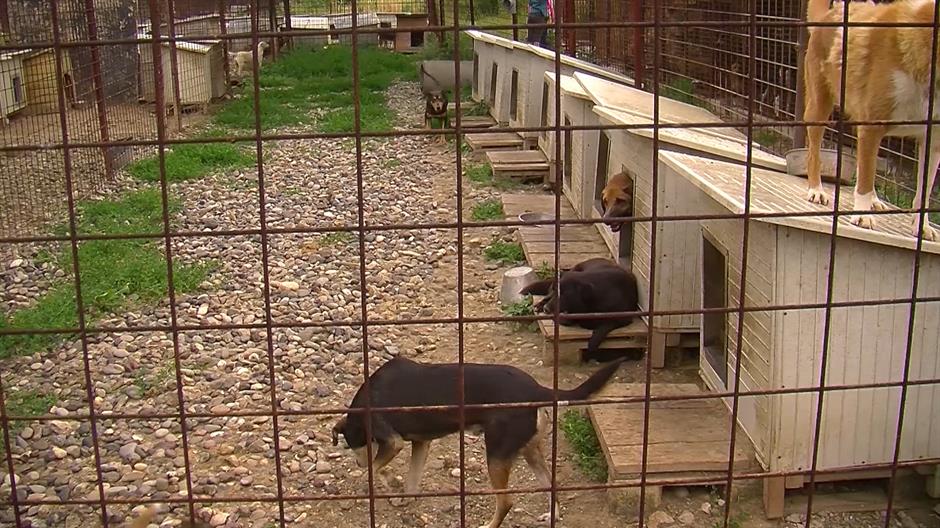 Sequence 01.Still012