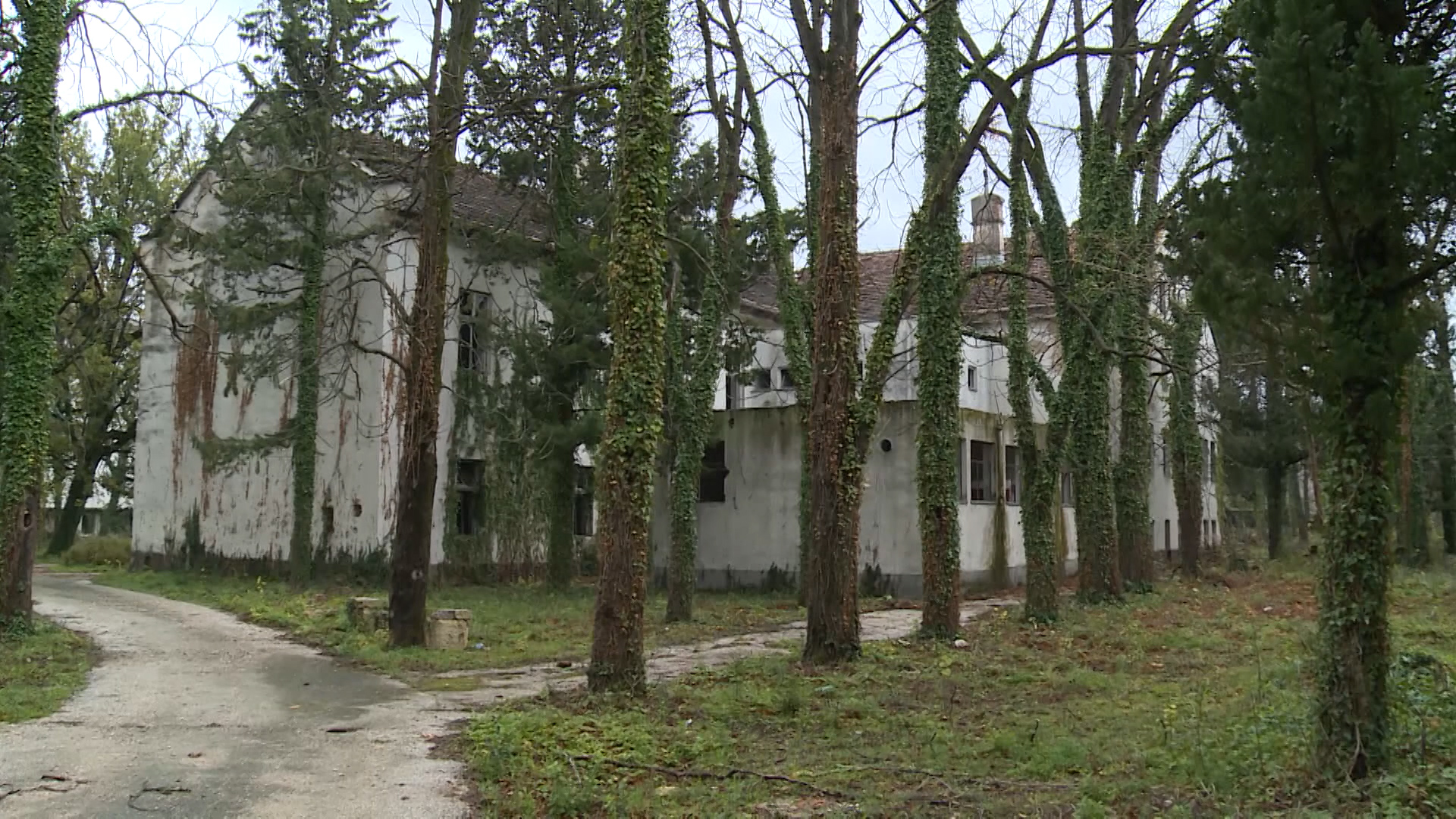 Sequence 01.Still014