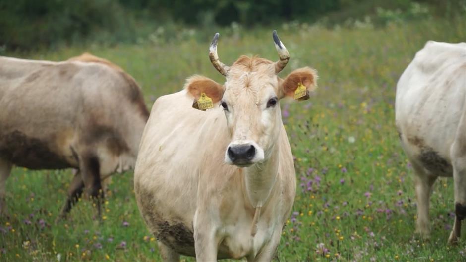 Sequence 01.Still014