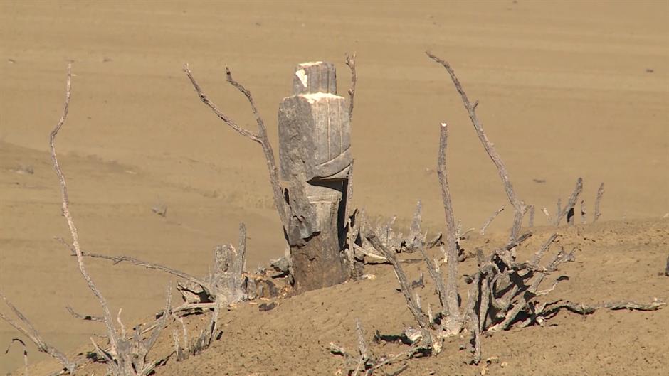 Sequence 01.Still016