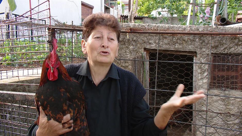 Sequence 01.Still016