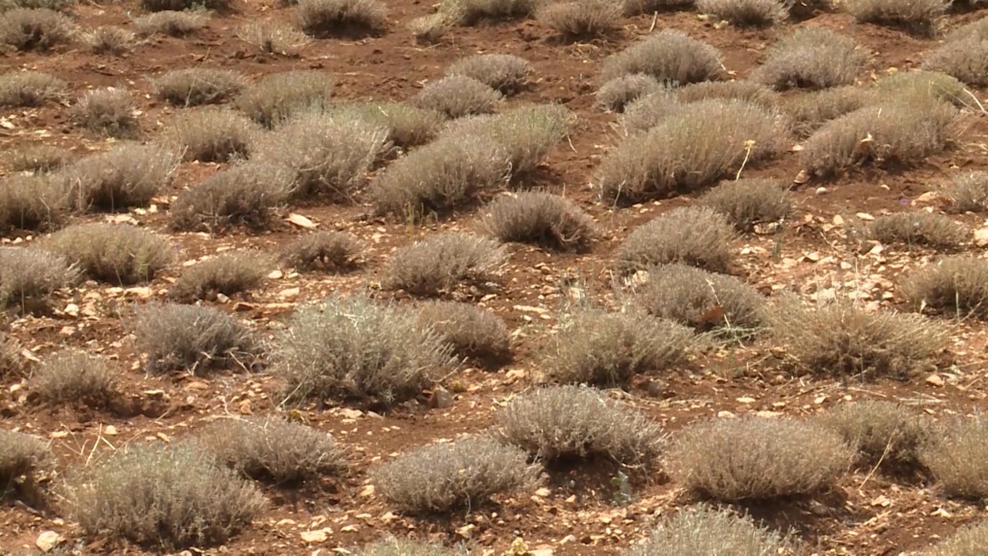 Sequence 01.Still017