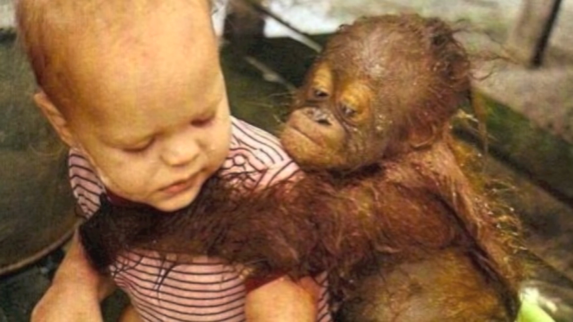 Sequence 01.Still026