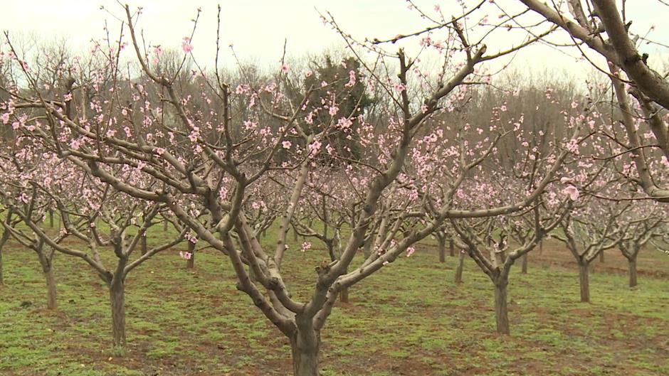 Sequence 01.Still039